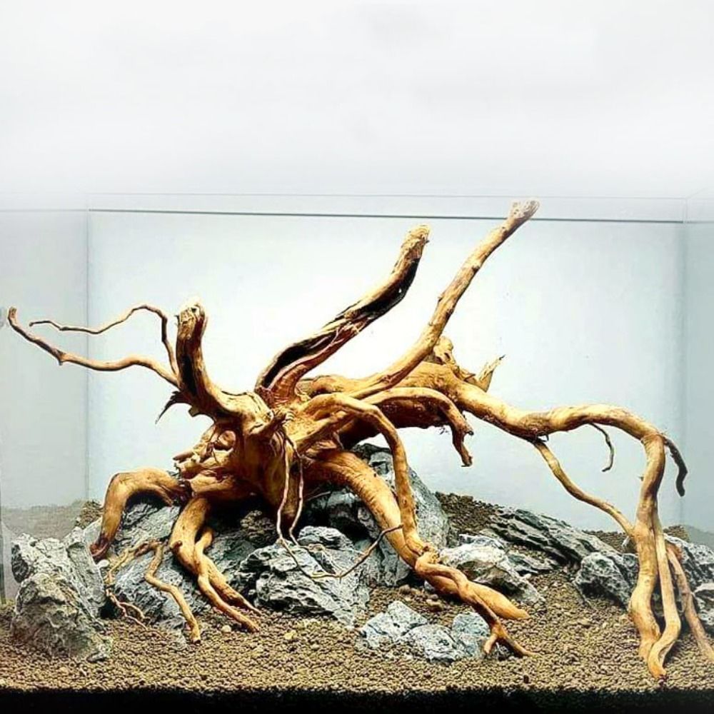 Marine Aquarium Hobby - Natural Tree Trunk Aquarium Decoration Wood