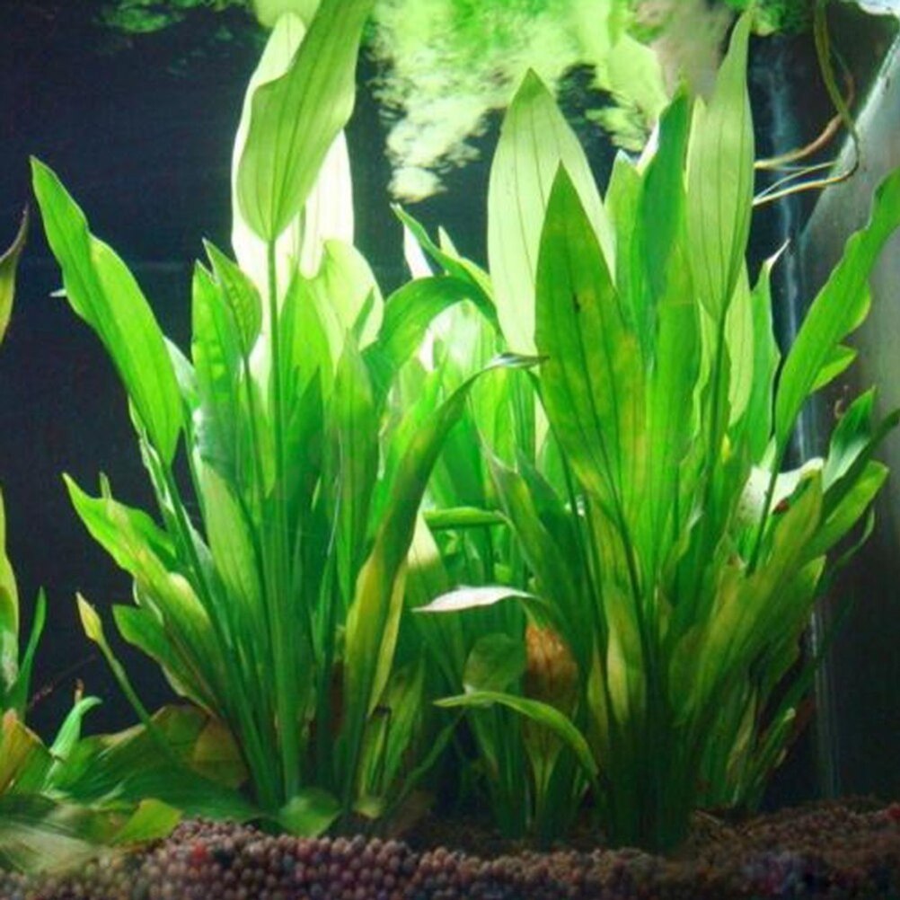 Marine Aquarium Hobby - 15cm Artificial Aquarium Decor Plants Water