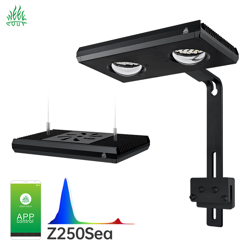 Aqua Marine Tank - Week Aqua Z250Sea Z400Sea LED Aquarium