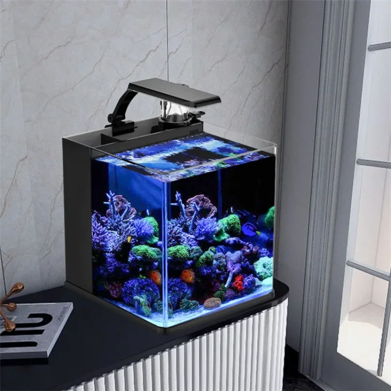 Aquarium Marine Fish For Sale - Hot sales Ultra Clear Glass Mini