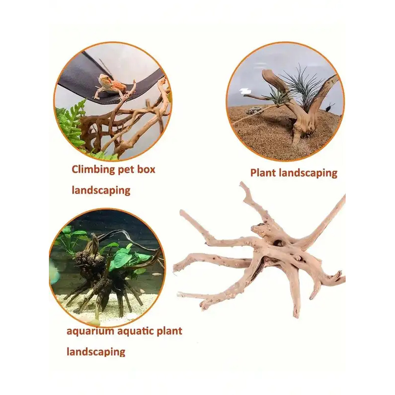 Natural Driftwood for Aquarium - Marine Aquarium Hobby 评论和价格