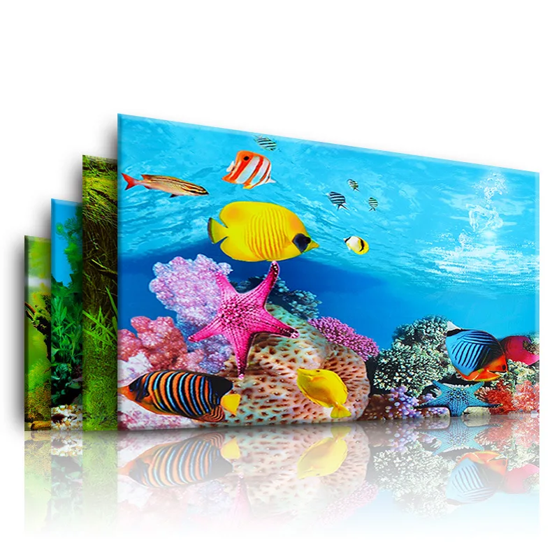 Background for Aquarium 3d  St - Marine Aquarium Hobby 评论和价格