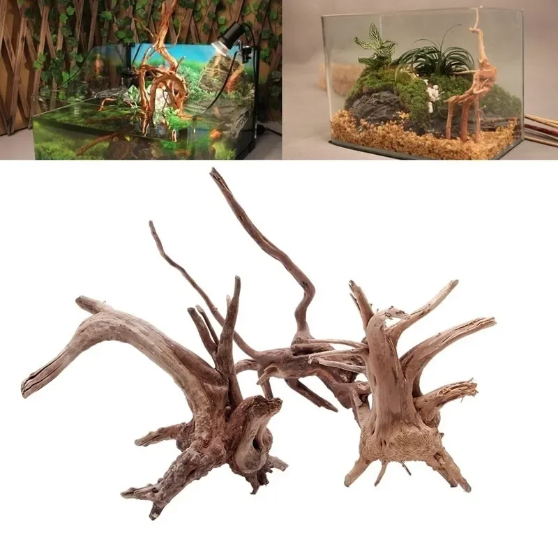Natural Tree Trunk Driftwood A - Marine Aquarium Hobby 评论和价格
