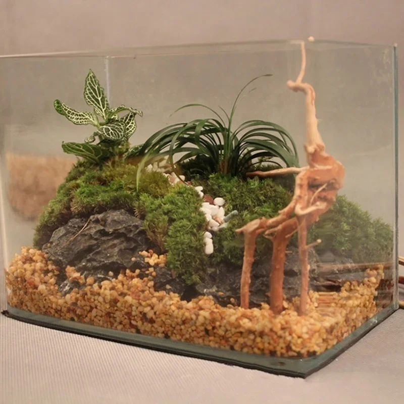 Natural Tree Trunk Driftwood A - Marine Aquarium Hobby 评论和价格