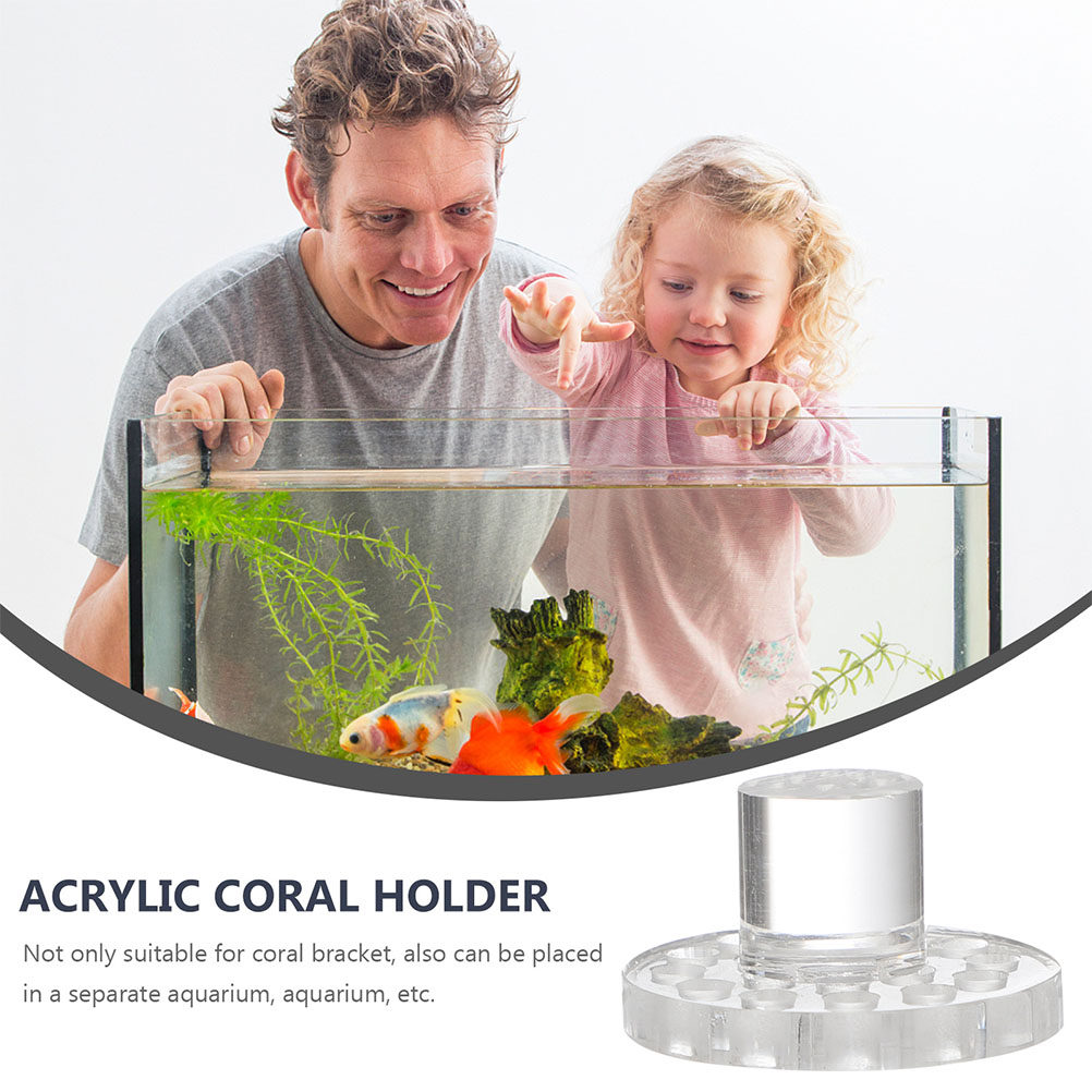 10Pcs Acrylic Coral Frag Rack  - Coral Frag Plug 评论和价格