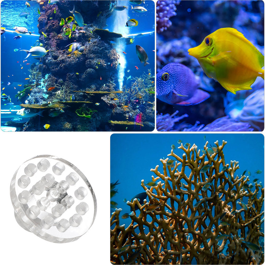 10Pcs Acrylic Coral Frag Rack  - Coral Frag Plug 评论和价格