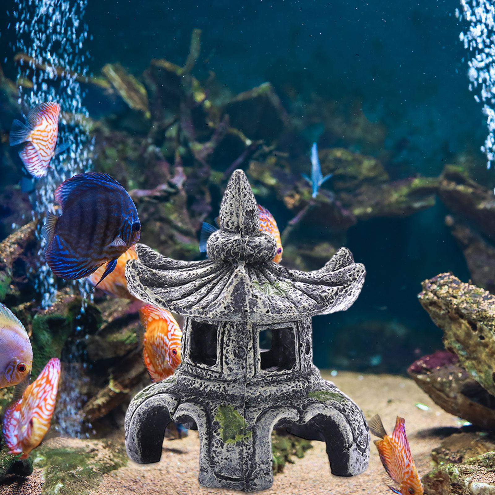 Aquarium Ornament Aquarium Acc - Marine Aquarium Hobby 评论和价格
