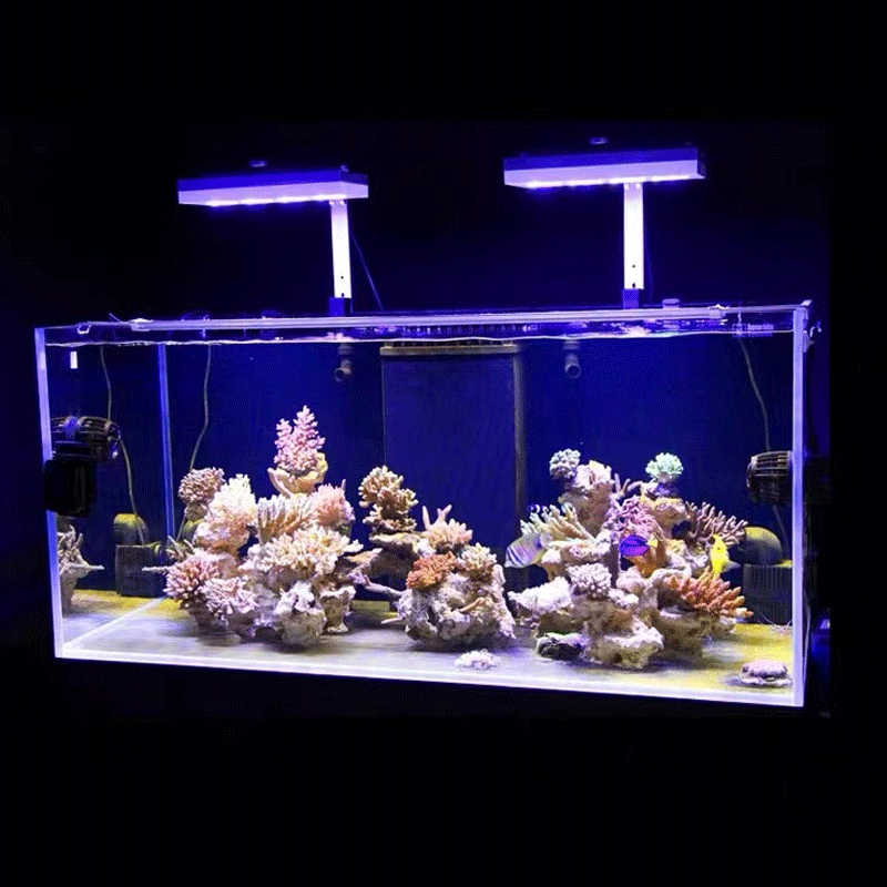 Aqua Illumination AI Hydra 32H - Marine Aquarium Reef 评论和价格