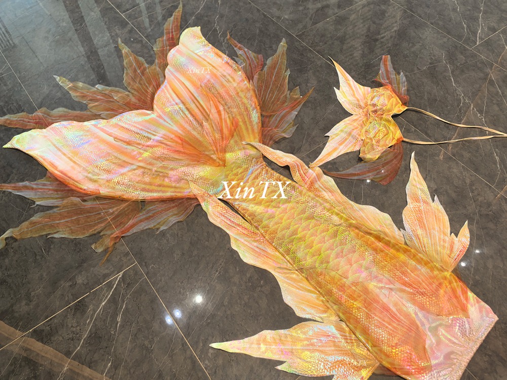 Professional adult mermaid tai - Aquarium & Marine Museum Universiti Malaysia Sabah Kota Kinabalu Sabah Reviews 评论和价格