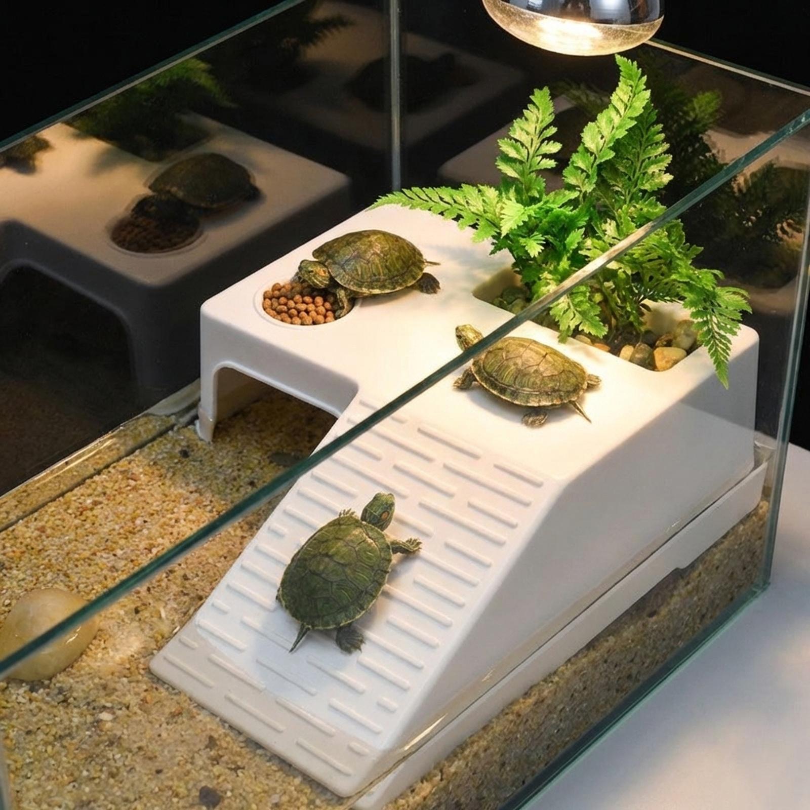 Turtle Resting Basking Platfor - Marine Aquarium Hobby 评论和价格