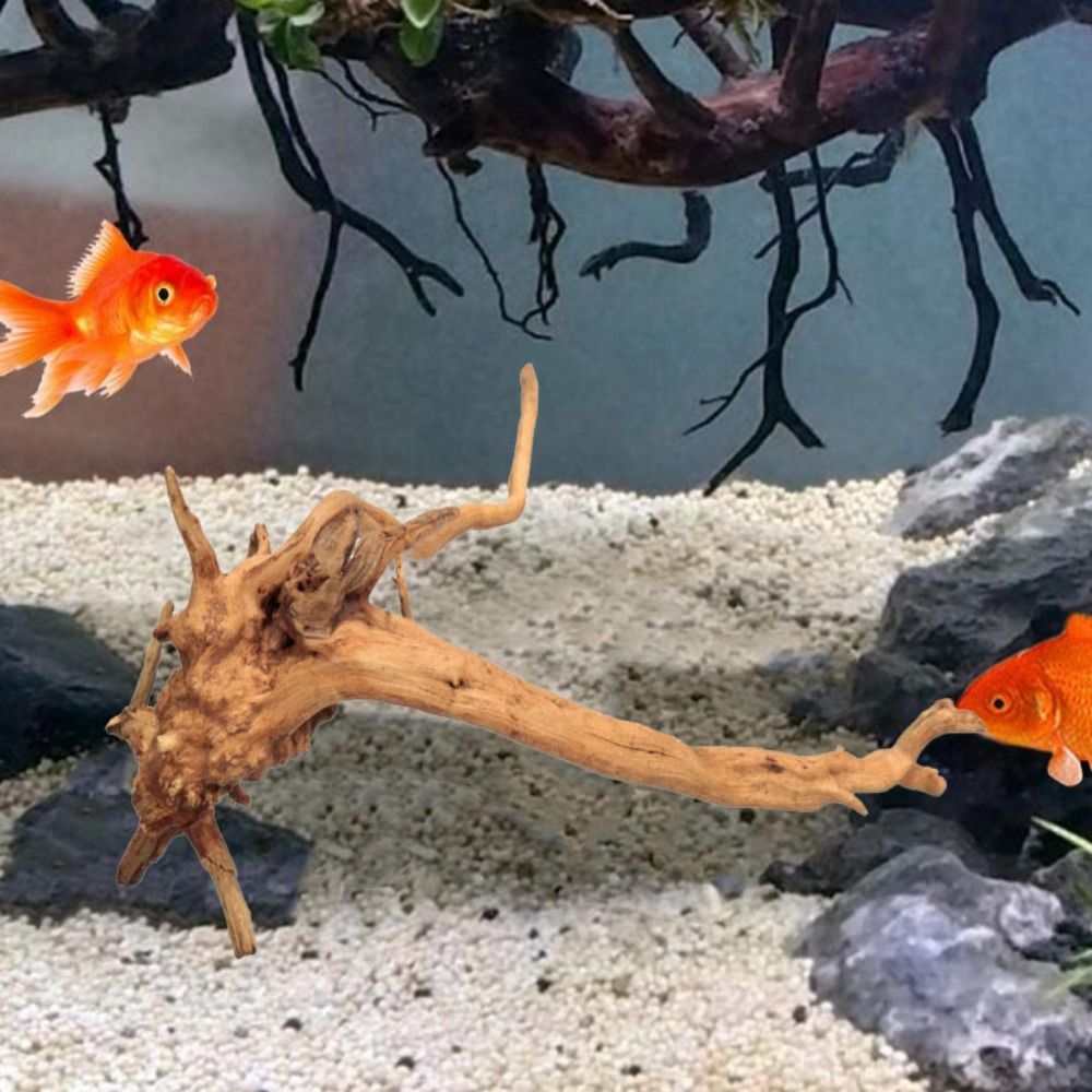 Natural Tree Trunk Aquarium De - Marine Aquarium Hobby 评论和价格