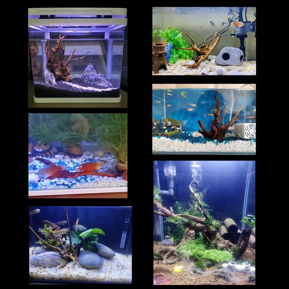 Natural Tree Trunk Aquarium De - Marine Aquarium Hobby 评论和价格