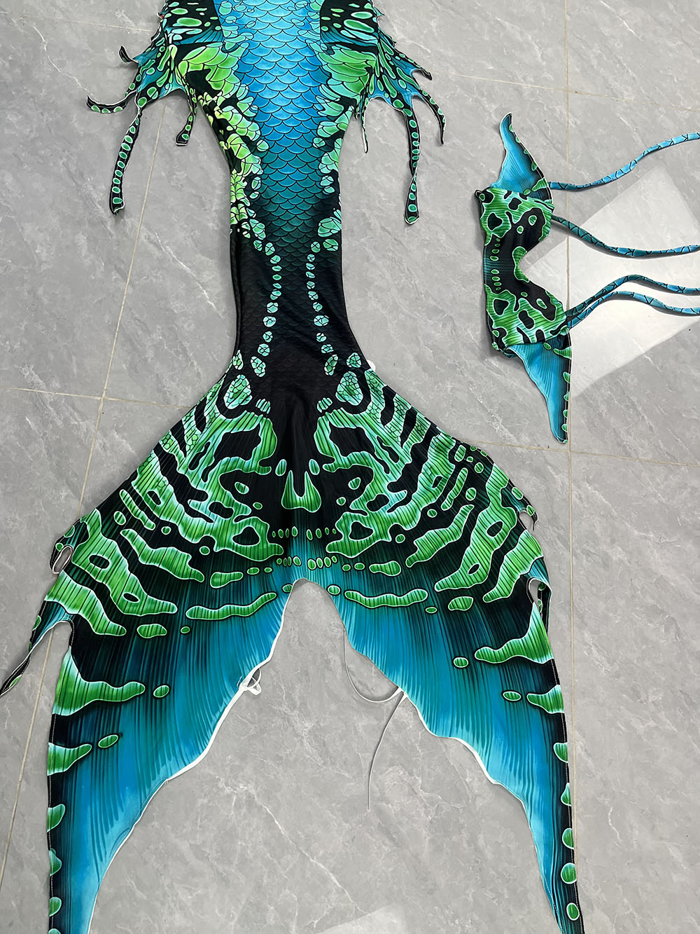 Hot selling Colorful Mermaid T - Aquarium & Marine Museum Universiti Malaysia Sabah Kota Kinabalu Sabah Reviews 评论和价格