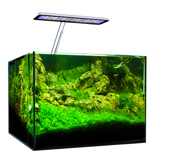 MicMol Aqua CC Aquarium LED Li - Aqua Marine Tank 评论和价格