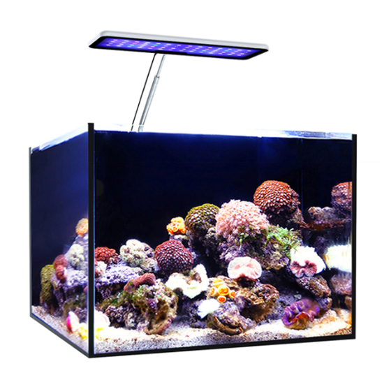 MicMol Aqua CC Aquarium LED Li - Aqua Marine Tank 评论和价格