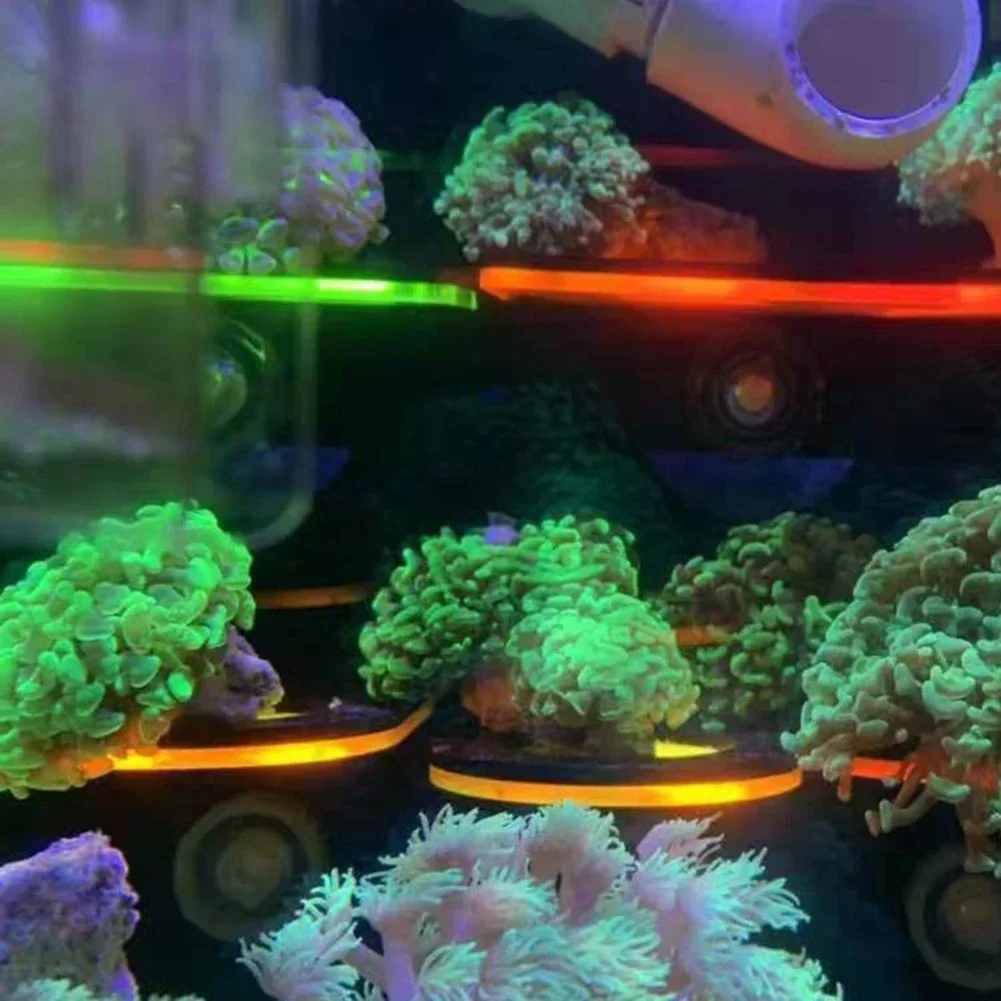 Fish Tank Acrylic Fluorescent  - Coral Frag Plug 评论和价格