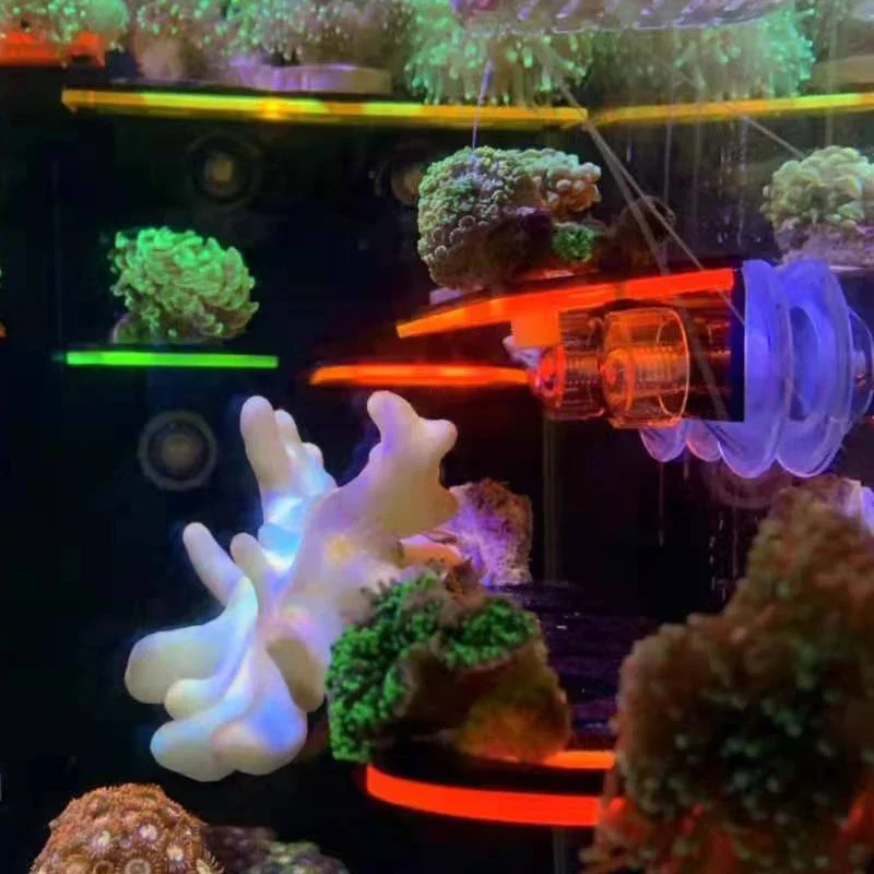 Fish Tank Acrylic Fluorescent  - Coral Frag Plug 评论和价格