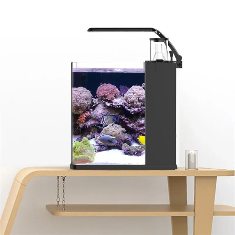 Hot sales Ultra Clear Glass Mi - Aquarium Marine Fish For Sale 评论和价格