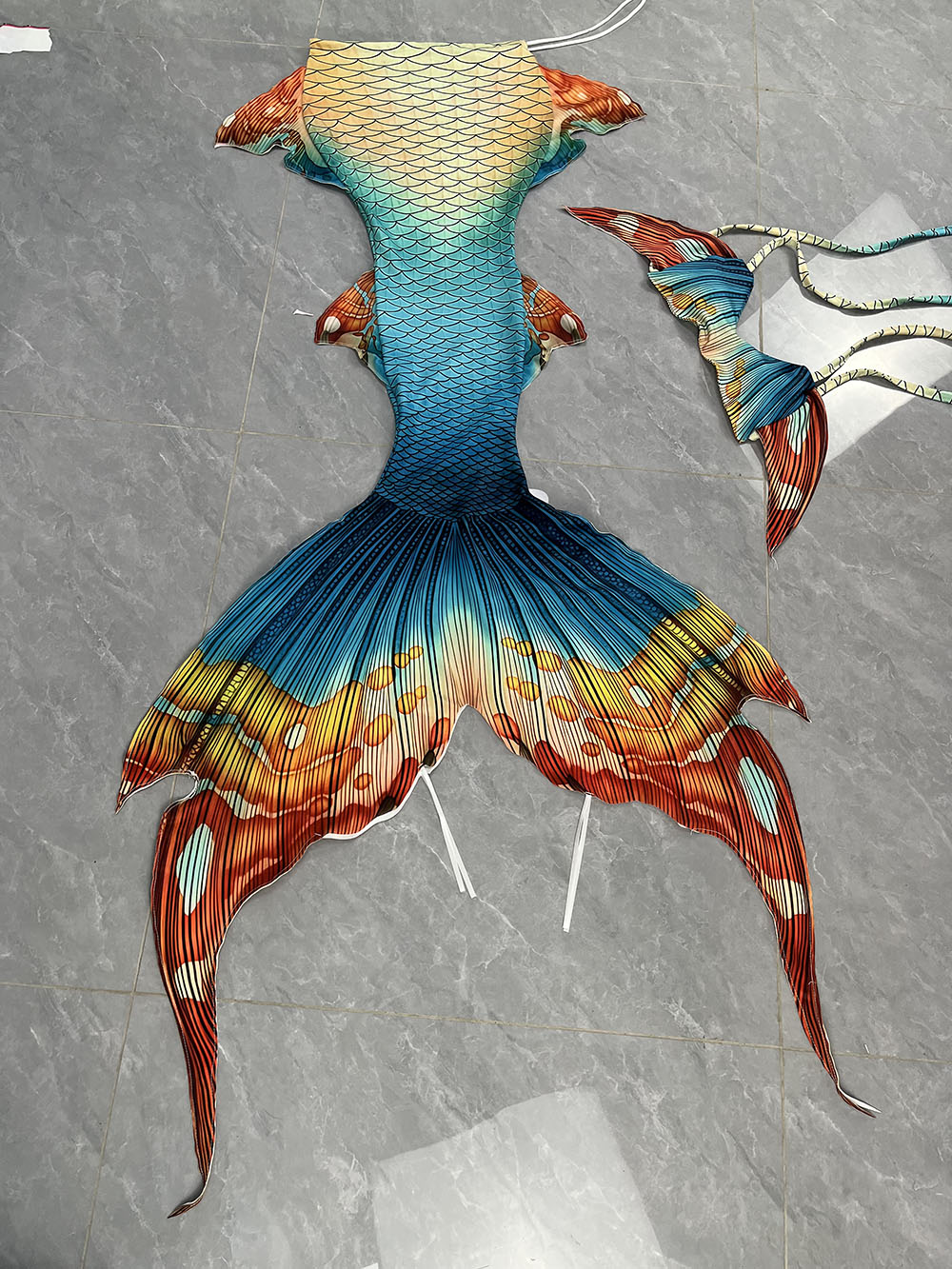 New Pattern Mermaid Tail Merma - Aquarium & Marine Museum Universiti Malaysia Sabah Kota Kinabalu Sabah Reviews 评论和价格