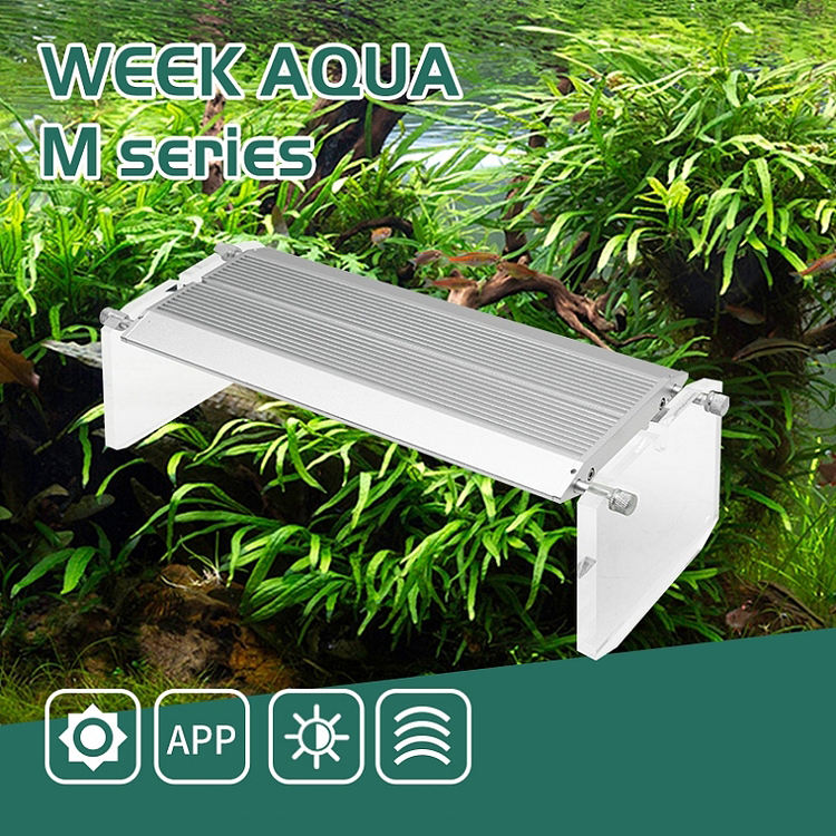 WEEK AQUA Aquarium Led Vivid L - Aqua Marine Tank 评论和价格