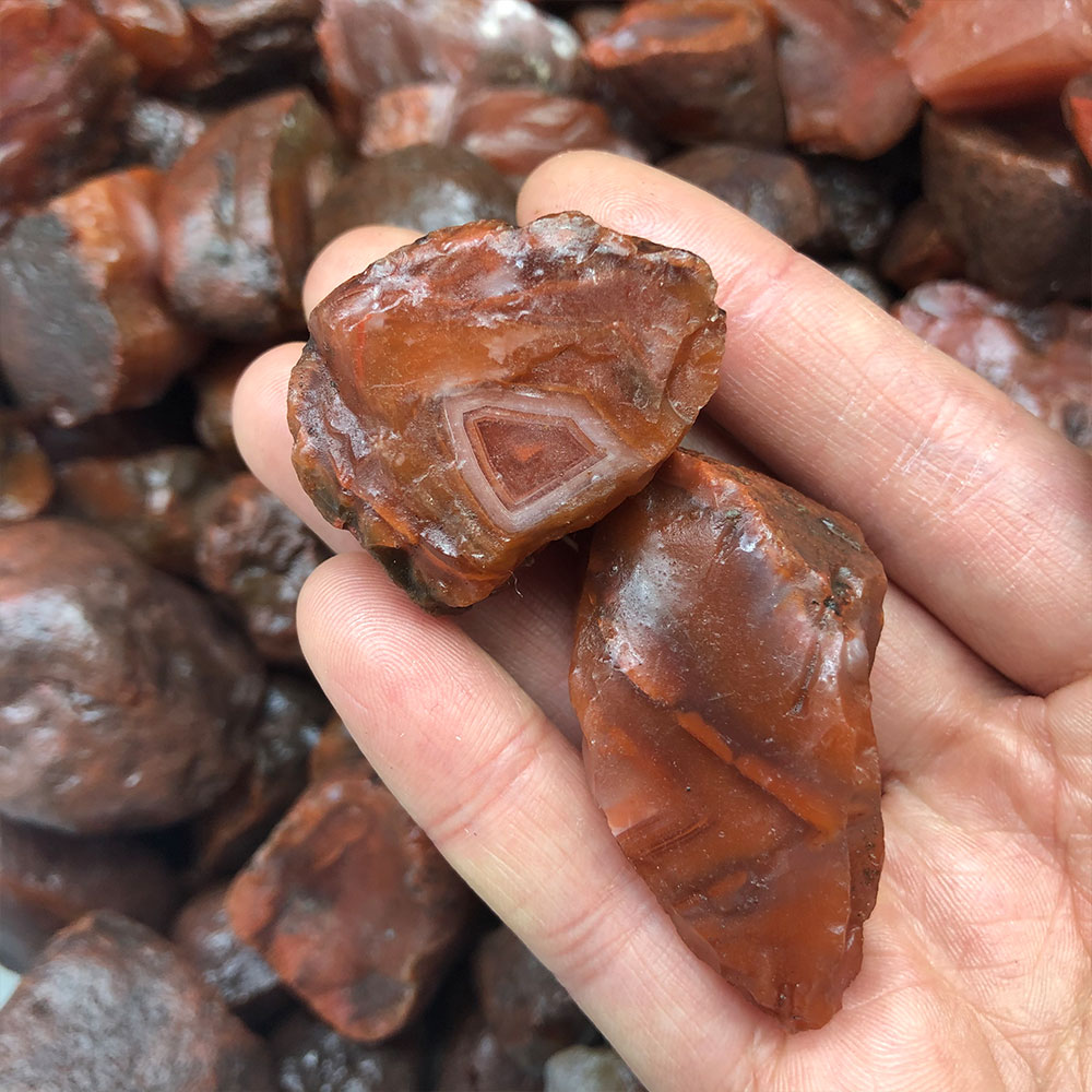 1pc Random Rough Raw Carnelian - Marine Aquarium Hobby 评论和价格