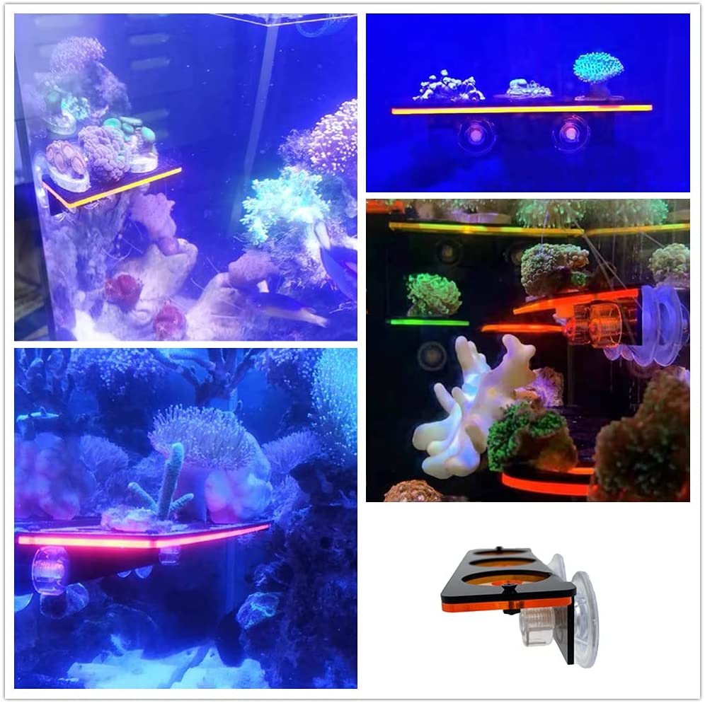 Fluorescent Coral Frag Plug Br - Coral Frag Plug 评论和价格