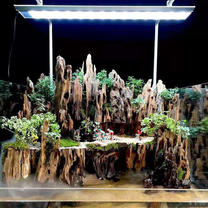 △ Shrimp Wood Aquarium Decor,  - Marine Aquarium Hobby 评论和价格