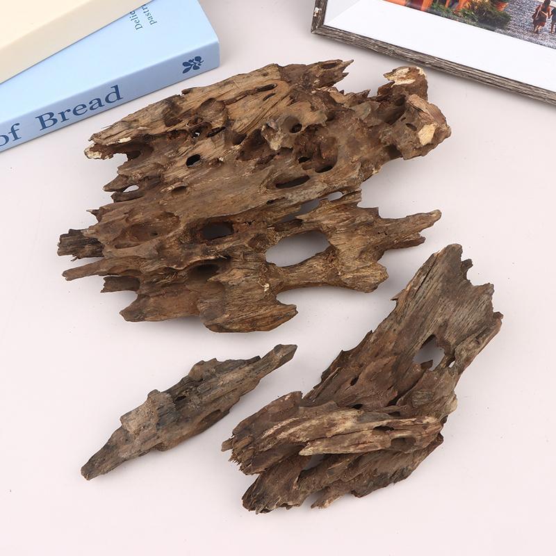 △ Shrimp Wood Aquarium Decor,  - Marine Aquarium Hobby 评论和价格