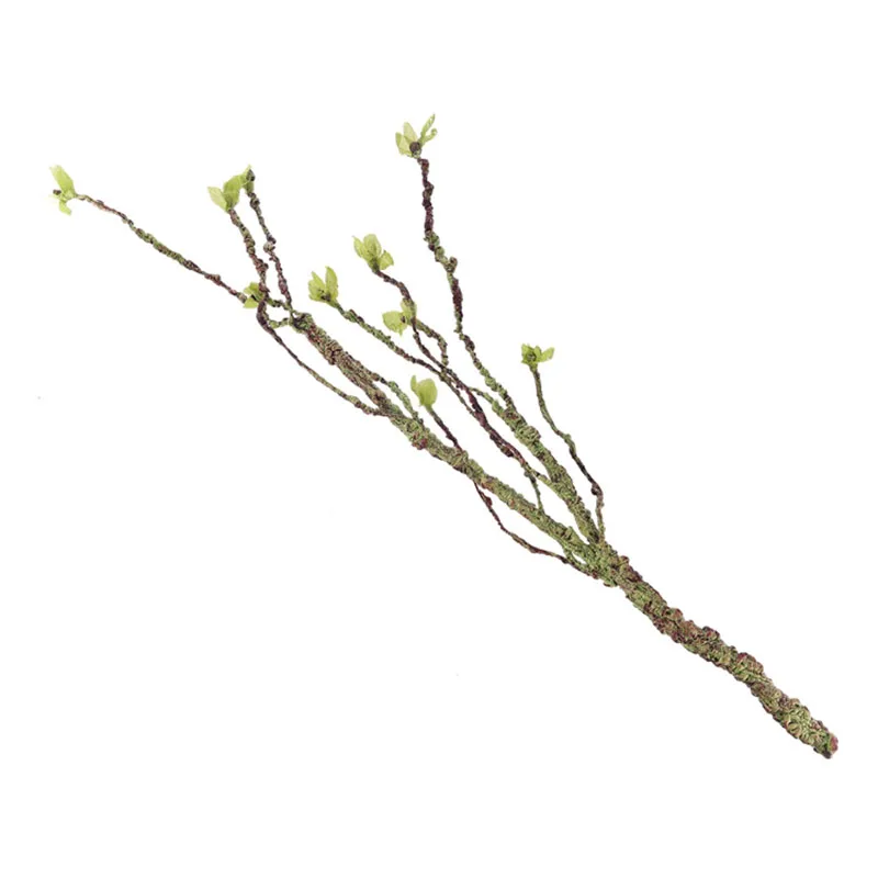 Vines Decor Climbing Branches  - Marine Aquarium Hobby 评论和价格